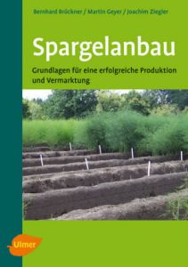 Spargelanbau