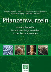Pflanzenwurzeln