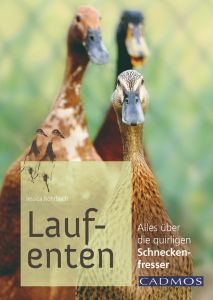 Laufenten - Alles über die quirligen Schneckenfresser