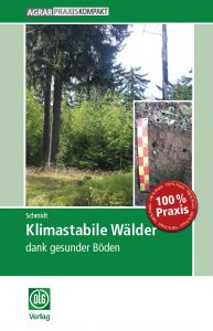 Klimastabile Wälder - dank gesunder Böden