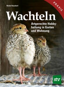 Wachteln